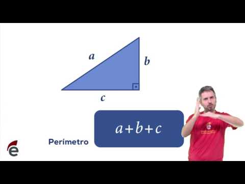 3 basic things about the Right Triangle