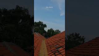 Download lagu Kowe lan aku wes sumpah ing janji ora bakal nggudo ati #fyp #fyptiktok #fypシ #shorts mp3