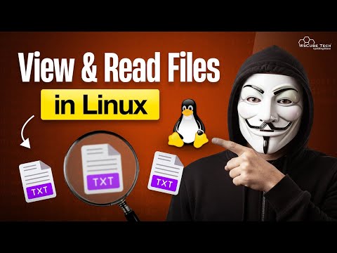 What is Linux Kernel OS Terminal for Beginners