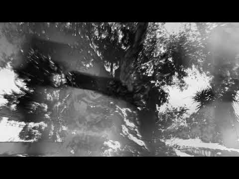 Ümit Han - Olive Tree (Tour De Traum XV)