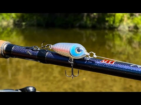 Nano Walking Bait | One Day Build to Catch