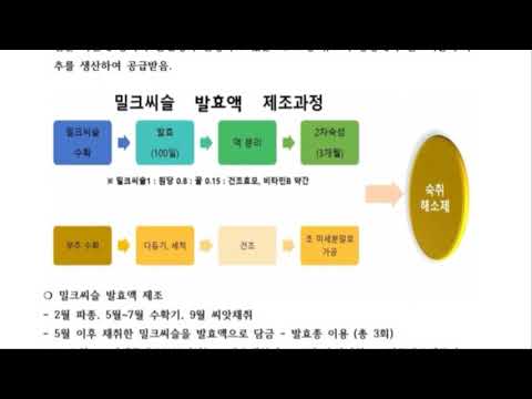 유튜브