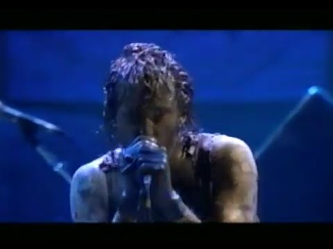 Nine Inch Nails - Head Like A Hole - 8/13/1994 - Woodstock 94 (Official)