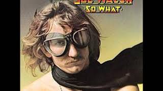 Joe Walsh   County Fair with Lyrics in Description