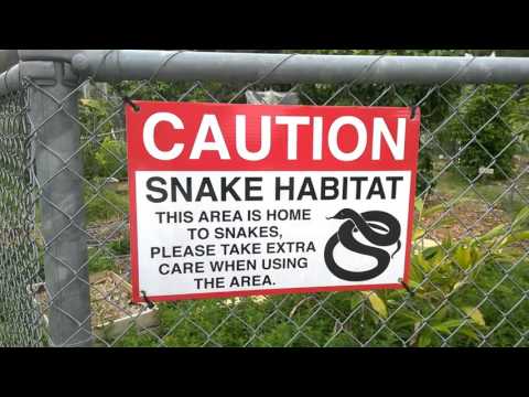 ARCHIE UNEMPLOYED - Sunday in the Park