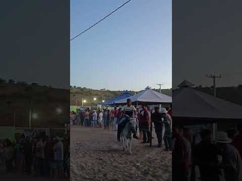 Corrida de jegue em Quebrangulo Alagoas