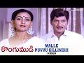 Kongumudi Movie Songs Malle Puvu Gilindi Song Sobhan Babu Suhasini