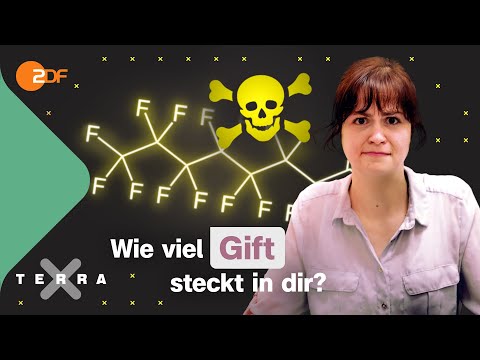 Umweltgifte: Wie schlimm sind Weichmacher, PFAs & Co? | Terra Xplore mit Geologin Thora Schubert