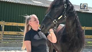 Van niet kunnen draven en galopperen, naar dressuurproeven L2: Nano CellCare therapie