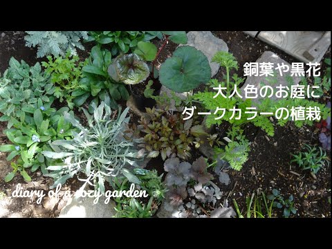 日陰の庭に光を必要としない植物はどれですか?美しい花を咲かせる5種  庭園