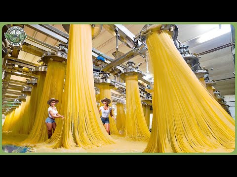 Come vengono prodotti gli spaghetti: milioni di tonnellate di pasta lavorate in fabbrica