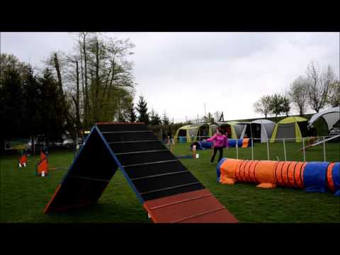 Trojzkoušky Zlechov - Megy, agility