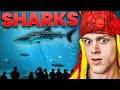 I Visited The BIGGEST Aquarium In The U S