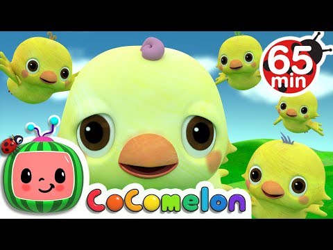 Five Little Birds 2 + More Nursery Rhymes & Kids Songs - CoComelon