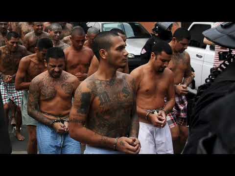 Immigration Man - David Crosby /Graham Nash  - 1972 -   Rockmaster Factual Videos