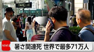 暑さ関連死 23年に最多71万人 温暖化原因は7割