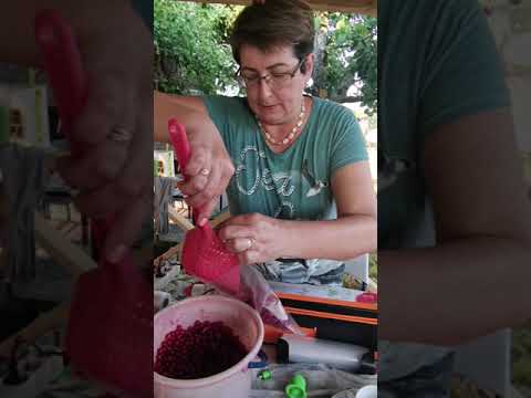 Вакууматор SX-168