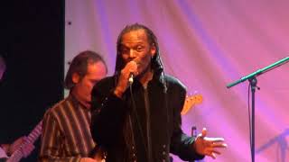 The Beat feat. Ranking Roger - Doors Of Your Heart (live at Freedom Sounds Festival 2017)
