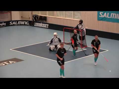 191103 MVupp + tvåmål Allsvenskan DAM Lindås Rasta IBK - Lindome IBK (1-4) Salming Arena