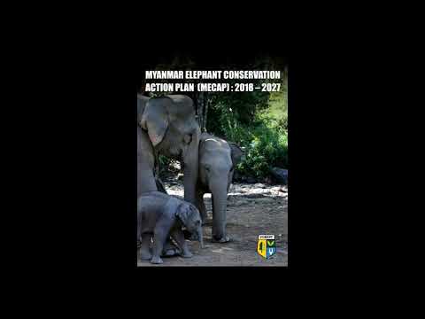 From Planning to Implementation