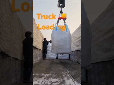 Raw vermiculite flakes