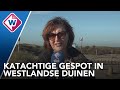 'Lynx' in Westlandse duinen vooralsnog 'paniek voor niks' - OMROEP WEST