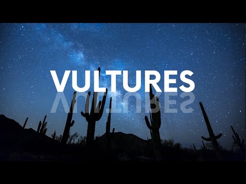 Days To Come - Vultures (Official Music Video)
