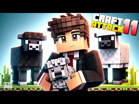 Weißes SCHAF + Schwarzes SCHAF = █████ Schaf - oder nicht?