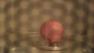 BRAIN BLAST!!!!!