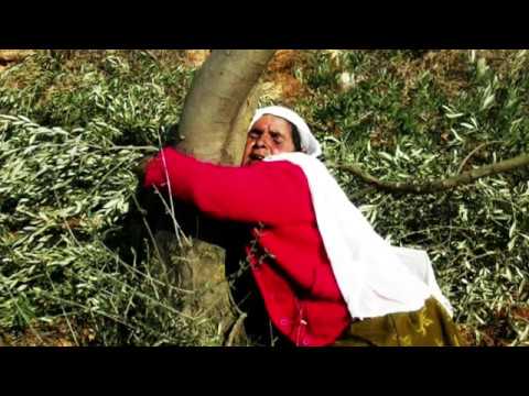 Shajart Al Hayah - Rami GB, Mahmood Jrere