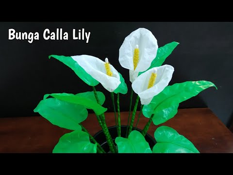 Cara Membuat Bunga Tulip Dari Kantong Plastik Membuat Itu