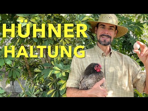Hühner Haltung. Meine tägliche Routine. Futter und Pflege. Eigene Nahrung und Dünger produzieren.