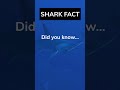 Are you scared of sharks? Let me know in the comments👇 #shorts #daily #facts #shark #sharks #ocean
