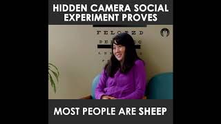 Are you one of the 'SHEEPLE'?