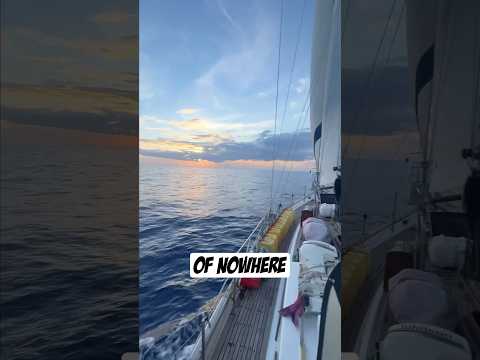 How To Sail FAST with NO WIND! ⛵️💨