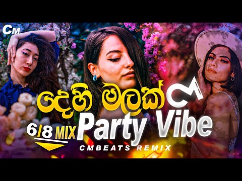 Dehi Malak 6/8 Party Vibe - (CMBeats Remix)