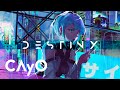 DESTINY Aecio Cayo