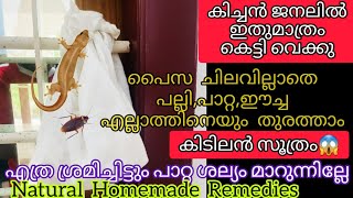 Natural Home Remedies To Get Rid Of Cockroaches Easy Tips Powerful Remedy - FIZA