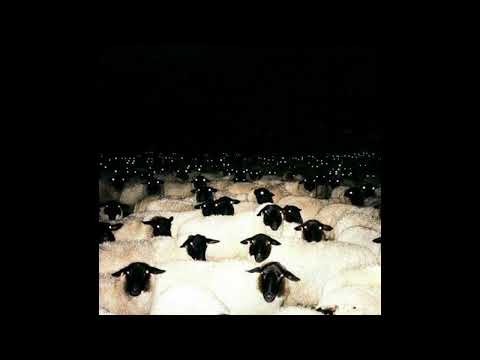 [Free] DnB x Jean Dawson x Post-punk Type Beat "obsessed with you"