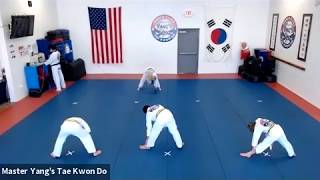 Live Class - Green Stripe - 6.9.20 @ 3:45pm