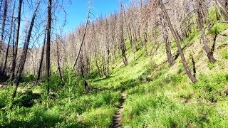 preview picture of video 'Mahoney Trail Mountain Biking | Ketchum, Idaho'