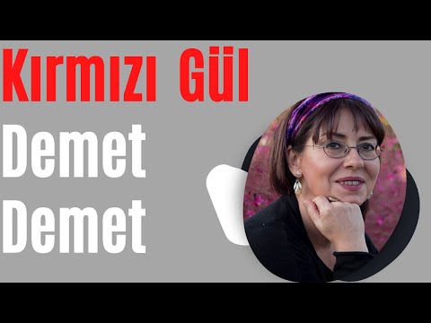 Video Yükleniyor...