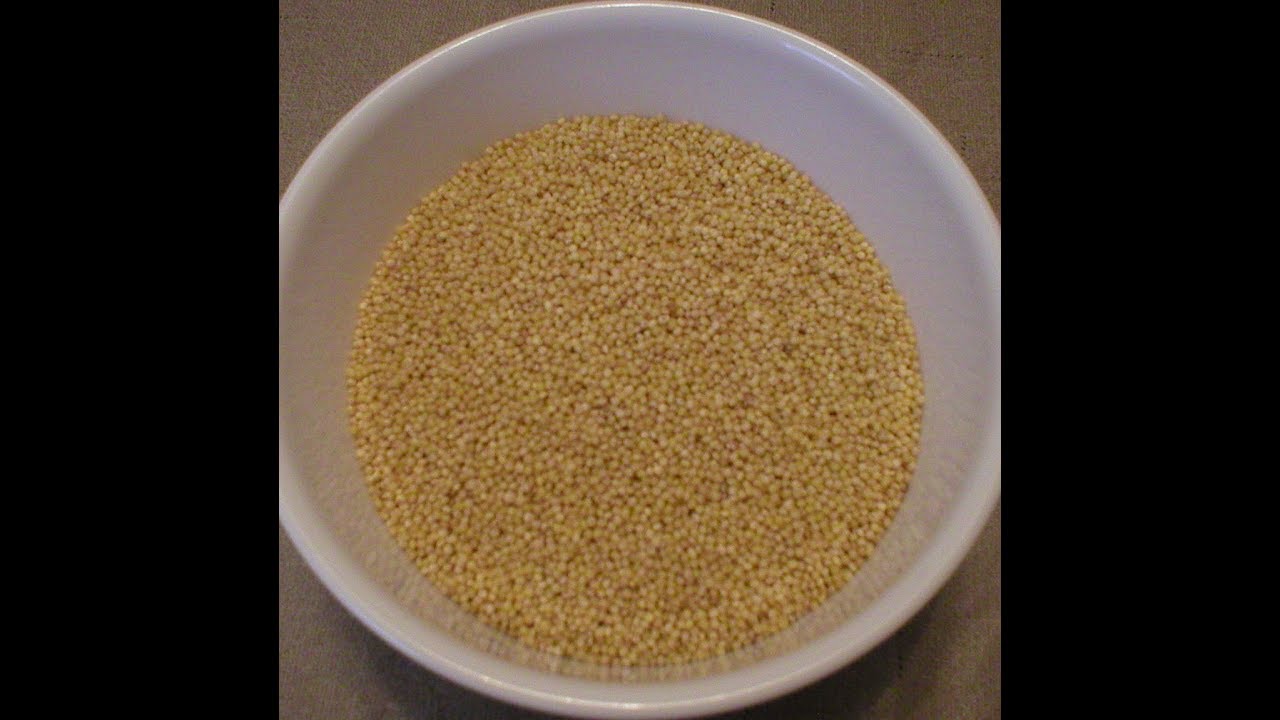 Millet 101-About Millet and Its Health Benefits - YouTube