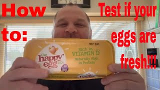 How to: Test if Your Eggs are Fresh - Fool Proof Method