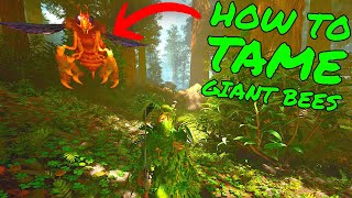 How To Tame GIANT QUEEN BEE in Ark Survival Ascended!!! ASA Tips and Tricks