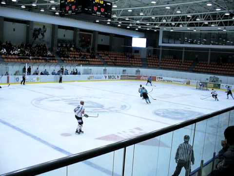 Fenestela 68 Brasov - Dab Docler