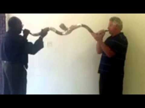 The horns of healing. At the sound of the shofars put forth your hands, and be healed.