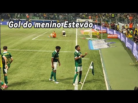 Gol do Estevão - direto da arquibancada Palmeiras 2 x 1 Botafogo (sp)