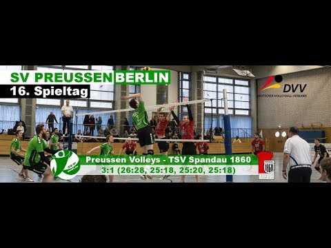16. Spieltag: Preußen Volleys - TSV Spandau 1860
