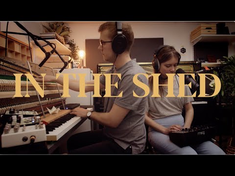 Billie Eilish Cover - In The Shed - 'When The Party's Over' ft. Paulina Palmgren